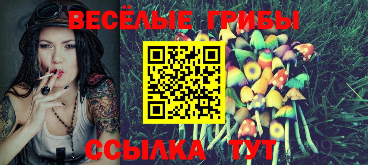 Псилоцибиновые грибы MAGIC MUSHROOMS Сунжа