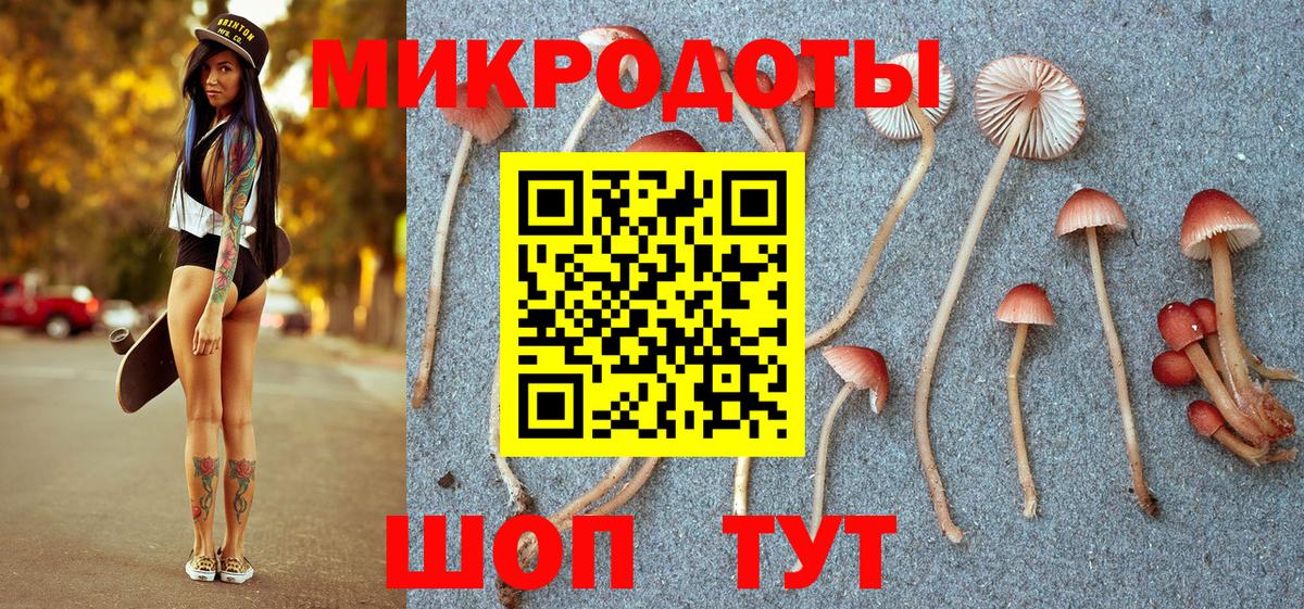 Псилоцибиновые грибы ЛСД  Псилоцибиновые грибы Cubensis  Вход с VPN  хочу   Сунжа 